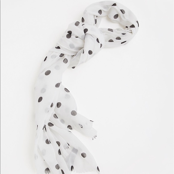 Polka Dot Oblong Scarf - Picture 2 of 3